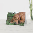 Search for growing older cards Funny
