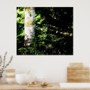 Search for atmosphere art Forest
