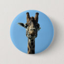 Search for cute giraffe badges Nature