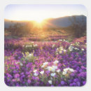 Search for state parks stickers Nature