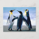 Search for mail postage stamp postcards Beach
