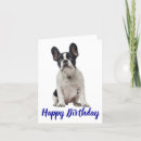 Search for frenchies cards Puppies