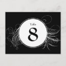 Search for black feathers postcards White