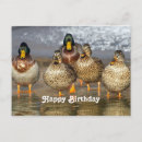Search for wildlife birthday cards Water