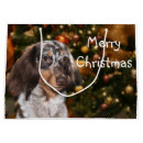 Search for dachshund gift bags Xmas