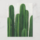 Search for cacti postcards Cactus