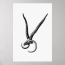 Search for animal anatomy art Vintage