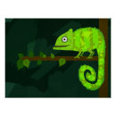 Search for chameleon posters Animals