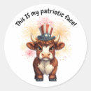 Search for uncle sam stickers Fireworks