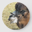 Search for funny camel art Cute