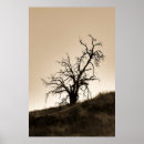 Search for halloween tree posters Creepy