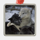 Search for montana christmas tree decorations Wolves