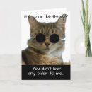 Search for cat in glasses cards Cats