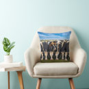 Search for holstein cow cushions Livestock