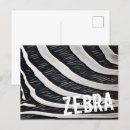 Search for black white zebra postcards Animal