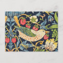Search for colourful bird art postcards Vintage