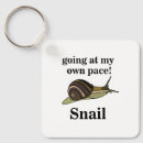Search for snail shell key rings Nature