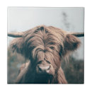 Search for cow tiles Portrait