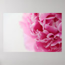 Search for peony art Girly