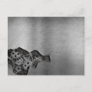 Search for damage postcards Background