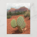 Search for sedona postcards Desert landscape
