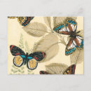 Search for leaf insect postcards Animals