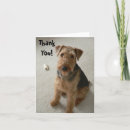 Search for airedale terrier dog cards Dogs