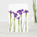 Search for isoler cards Flower