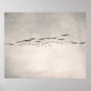 Search for pelican art Black and white