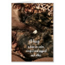 Search for cat hug cards Comfort
