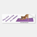 Search for boxer bumper stickers Dog