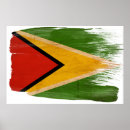 Search for guyana art Flag
