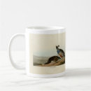 Search for audubon birds mugs Illustration