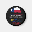 Search for texans magnets America