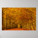 Search for walking path posters Forest