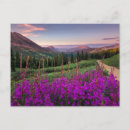 Search for crested butte postcards Rocky mountains