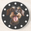 Search for dachshund coasters Dachsie