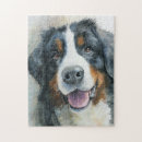 Search for bernese mountain dog puzzles Pet
