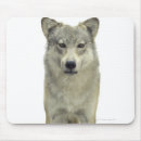 Search for wolf look mousepads Wildlife