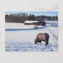 Search for grazing postcards Nature