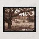 Search for oaks postcards Oak tree