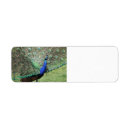 Search for peacock blue return address labels Bright