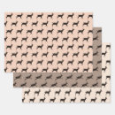 Search for buck wrapping paper Stag