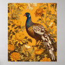 Search for pheasant posters Wildlife