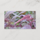 Search for mauve photography Burgundy
