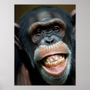 Search for chimpanzee posters Funny