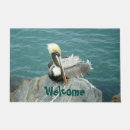 Search for shore birds Sea bird