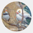 Search for zebra finch stickers Birds