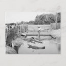 Search for 1904 postcards Retro