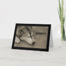 Search for dog apology cards Forgiveness